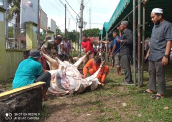 PT Sumberdaya Sewatama Sumbang Hewan Kurban Untuk Warga Lingkungan