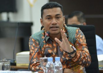 Safaruddin Wakil Ketua DPRA