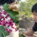 Seorang Pria Nekat Makan Sesajen Isi Ayam Goreng di Kuburan