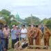 Pj Bupati Aceh Utara Tinjau Langsung Dayah Madinatuddiniyah Pasca Kebakaran