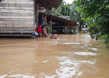 Diguyur Hujan Deras, Banjir Rendam 3 Kecamatan di Langsa