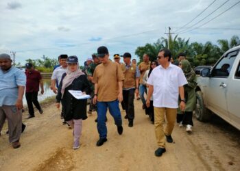 Pj Gubernur Aceh Tinjau Langsung Lokasi Pertanian yang Rusak Akibat Banjir