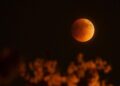 Gerhana Bulan Total Terjadi Hari Ini, Berikut Daftar Wilayah yang Bisa Melihat Gerhana Bulan dan Waktunya