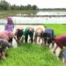 Wujudkan Pengabdian Masyarakat, Mahasiswa KKN-PPM Universitas Malikussaleh Kelompok 63 Bantu Masyarakat di Sawah