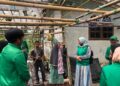Mahasiswa KKN-PPM Kelompok 38 Melakukan Kunjungan ke Kebun Anggur di Pulo Barat