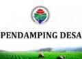 200 Pendamping Desa di Aceh Akan Dipecat, Ini Sebabnya