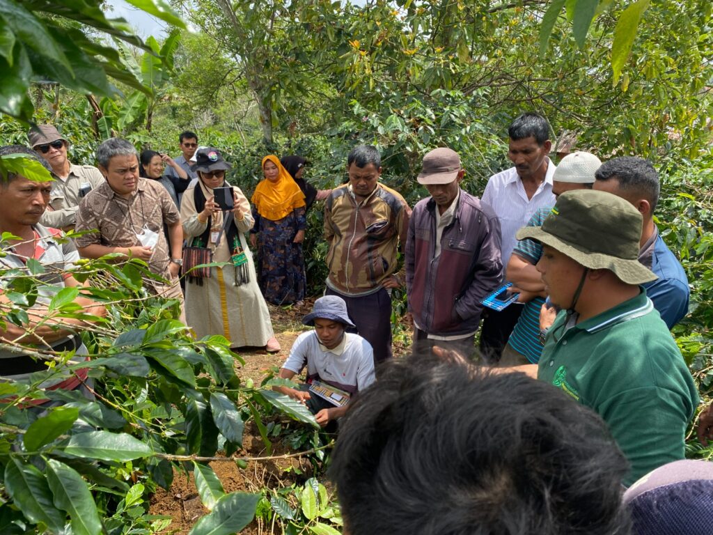 USAID SEGAR dan PT Indo Cafco Luncurkan Program Sekolah Lapang untuk Petani Kopi 