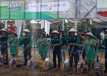 Pj Bupati Aceh Utara Dan Pangdam IM Tanam Perdana Program I’M Jagong
