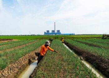 PLN NP Buktikan Komitmen Green Energy, Hasilkan 180,9 GWh Energi Bersih
