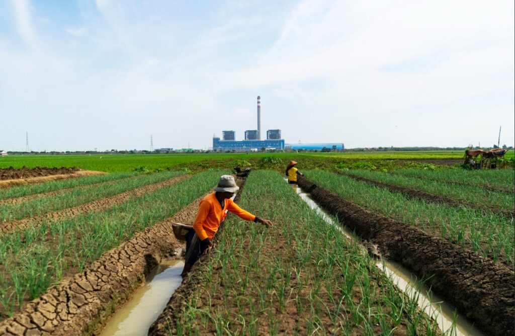 PLN NP Buktikan Komitmen Green Energy, Hasilkan 180,9 GWh Energi Bersih