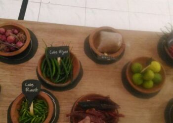 Pemkab Aceh Jaya Akan Bangun Dapur Umum di Seluruh Dayah