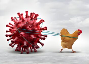 Waspada Penularan Flu Burung, Kemenkes Imbau Masyarakat Terapkan PHBS