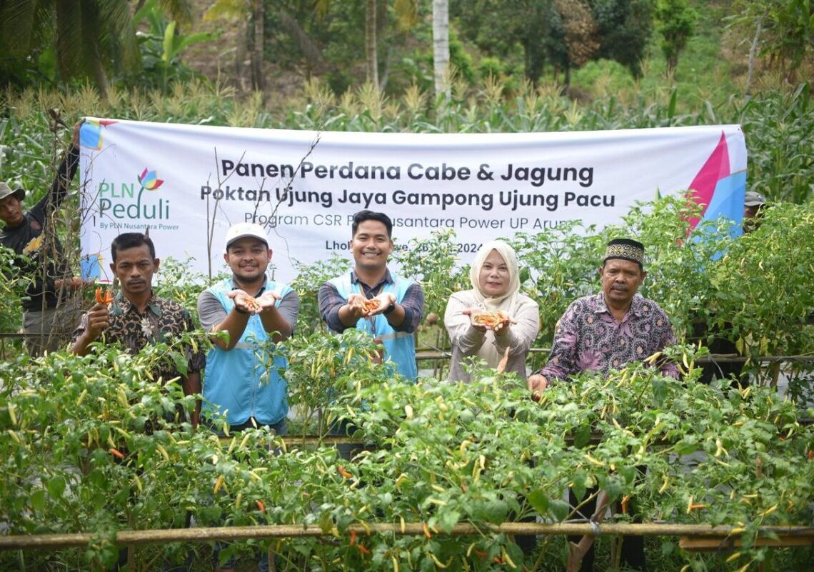 Panen Perdana Cabai dan Serahkan Traktor, PLN Nusantara Power UP Arun Berikan Dukungan Berkelanjutan untuk Petani