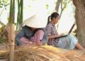 Kecepatan Internet Indonesia Meningkat Sepuluh Kali Lipat dalam Satu Dekade
