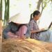 Kecepatan Internet Indonesia Meningkat Sepuluh Kali Lipat dalam Satu Dekade