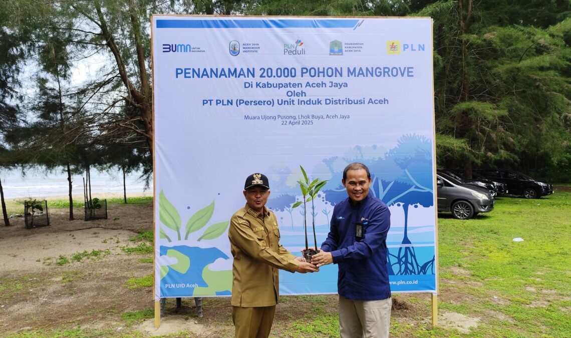 Pemkab Aceh Jaya dan PLN Sediakan Listrik Gratis untuk Warga Lhok Buya
