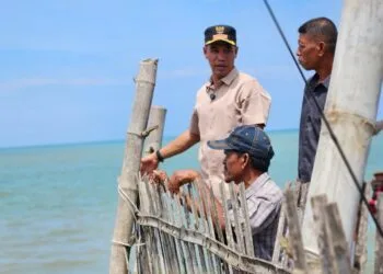 Wakil Bupati Aceh Utara Tarmizi S.I.Kom Tinjau Abrasi Parah di Muara Batu, 13 Rumah Warga Hancur