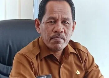 Tanggapan Kadis Kominfo Aceh Utara: Kronologis Resmi Insiden Truk Logistik Terbalik dan Terbakar di Langkahan