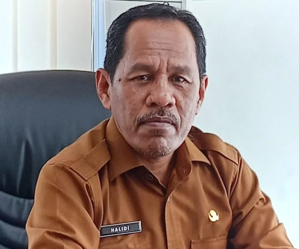 Tanggapan Kadis Kominfo Aceh Utara: Kronologis Resmi Insiden Truk Logistik Terbalik dan Terbakar di Langkahan