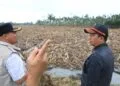Kepala BNPB Tinjau Korban Bencana di Langkahan, Serahkan Bantuan Tanggap Darurat
