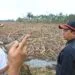 Kepala BNPB Tinjau Korban Bencana di Langkahan, Serahkan Bantuan Tanggap Darurat