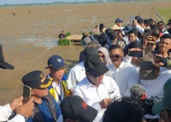 Bupati Aceh Utara Dampingi Mentan dan Ketua Komisi IV DPR RI Tinjau Revitalisasi Sawah