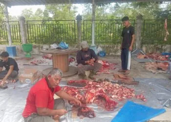 Rayakan Idul Adha 1447 H, Warga Dusun Buket Rata Punteut Sembelih 5 Ekor Lembu dan 5 Ekor Kambing